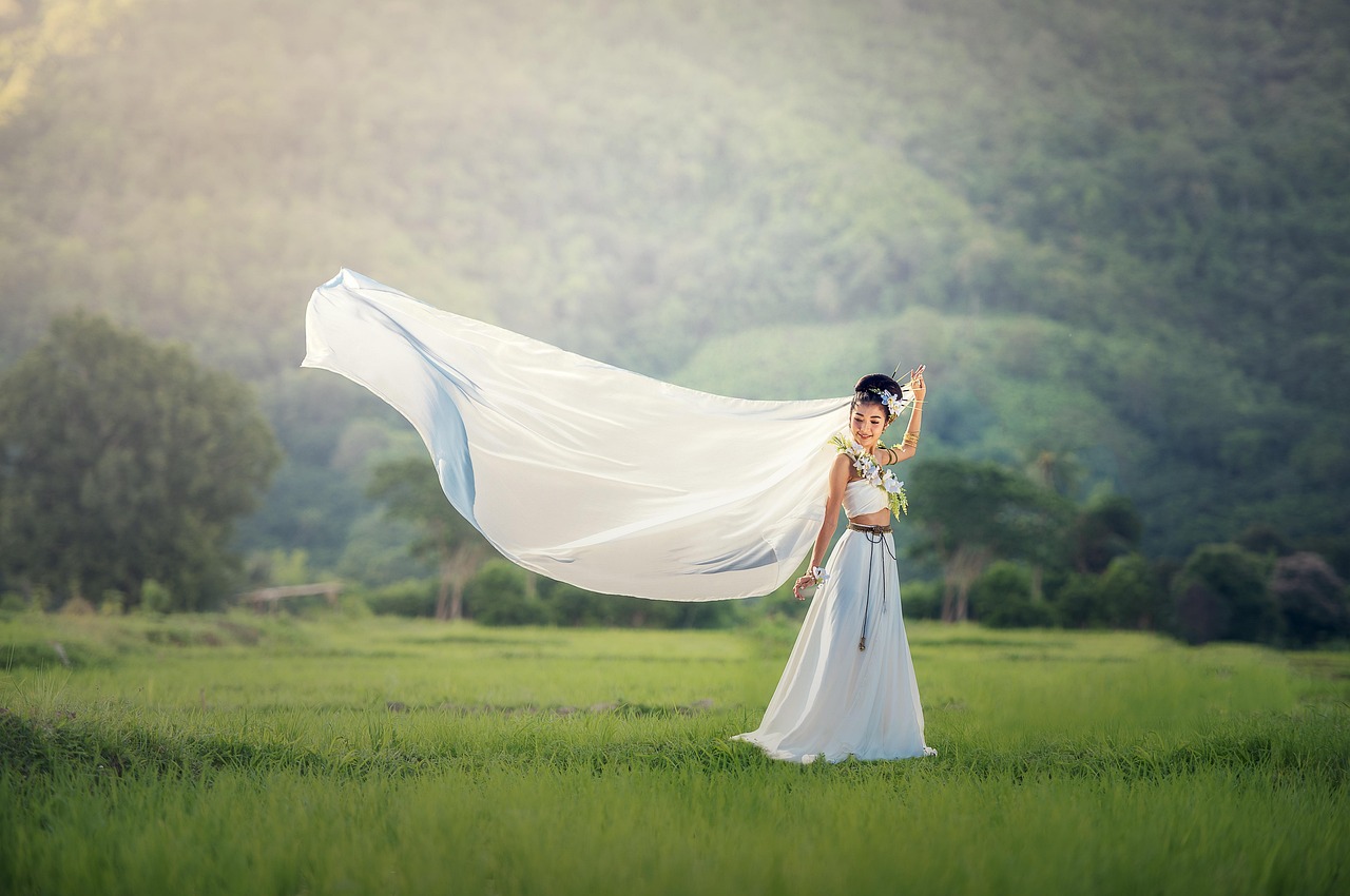 Download free HD stock image of Bride Wedding Free Bride Wedding photo and picture