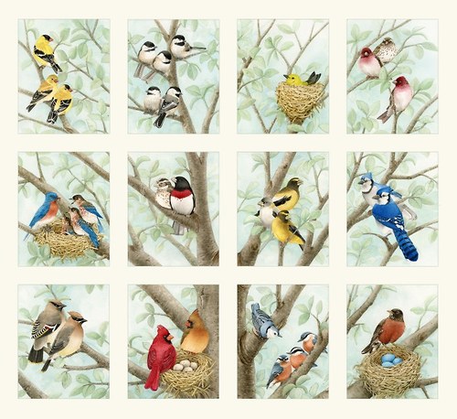 Beautiful Birds - panel