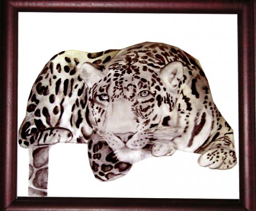 gepard