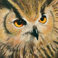 Bubo