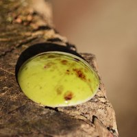 Kameninový kabošon Kamínek 3,5 cm - Jarní louka