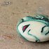 Germination I. - 38mm buton