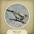 Ptáčci - art 4 - kulatá nažehlovačka