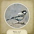 Ptáčci - art 3 - kulatá nažehlovačka
