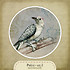 Ptáčci - art 2 - kulatá nažehlovačka