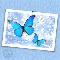 LaPetiteBohemienne image