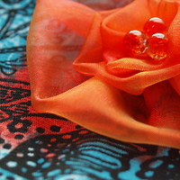 Organza kytí XX.
