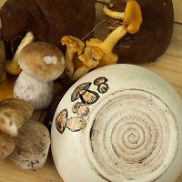 Miska - na houby