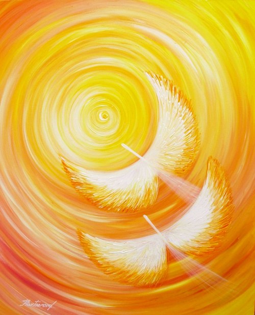 kacenkabrno