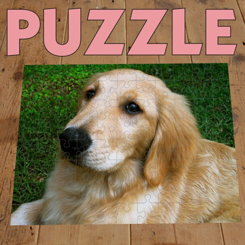 Puzzle 2  A4 - 88 dílů, Labrador