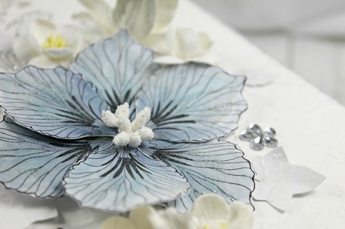 Zimní snová...