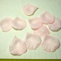 pabo materiál image