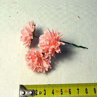 pabo materiál image