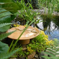 Mísa s lípou
