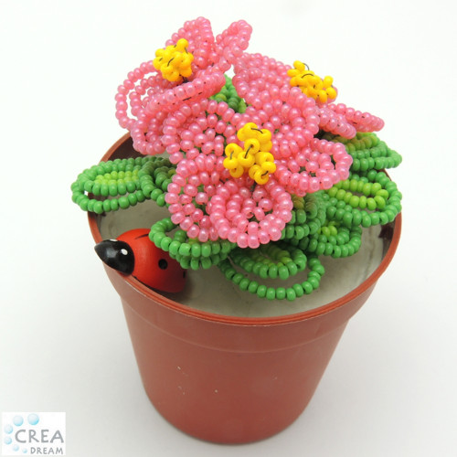 Crea-Dream image