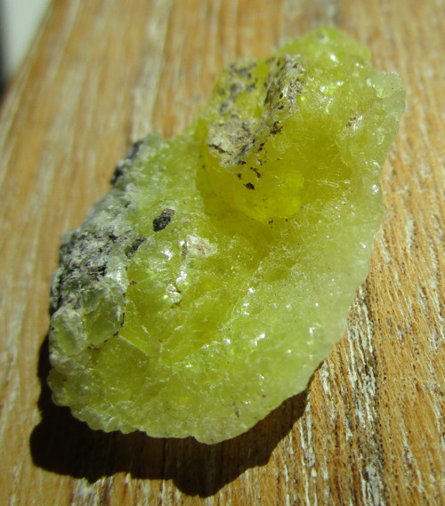 14190676_gxainigtsbr-b.jpg