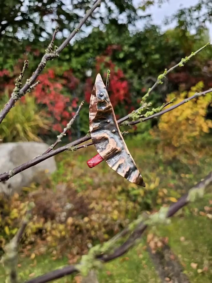 Měděná brož s korálem — video