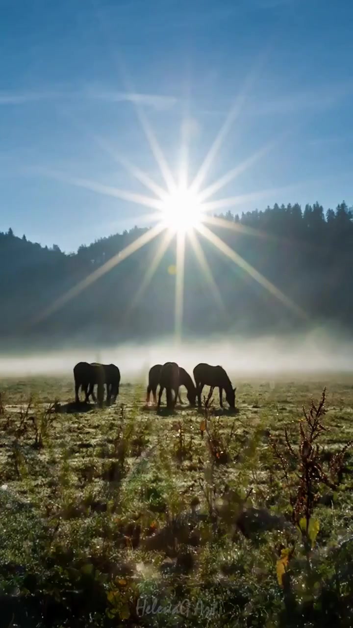 Muráňská planina (FOTOPLACHTA) — video