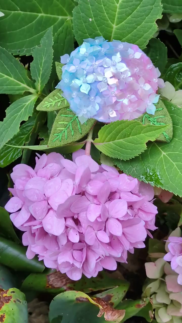 Hydrangea (Hortenzie) - Ručně vyšívaná brož — video