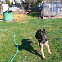 Besinka v trisku březen 2014