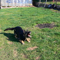 čekání na míček - reklama na zuby