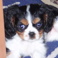 Sissinka ve 3 měsících