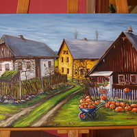 Dýně- urodilo se !