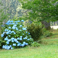 cestou na Lysou ....