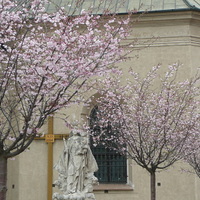 foto #19586
