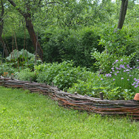 moje bylinková zahrádka