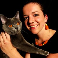 oranžovo-smetanová sada