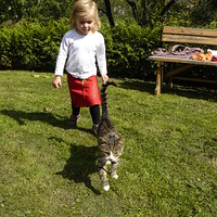 foto #3311