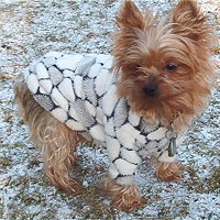 Sany v mikince od Fashion Maniac