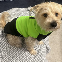 Soft vesta od Hannah Š.