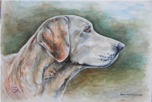 Labrador Jimmy - autorský arch