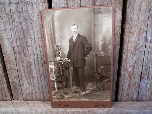 Pan starosta — foto 1