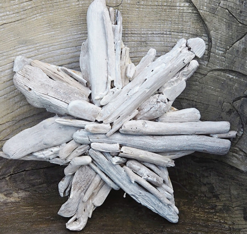 Hvězda - driftwood — foto 1