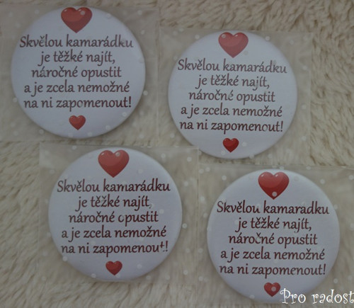 Magnetka Skvělou kamarádku..