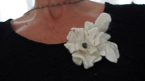 Edelweiss 19 — foto 1