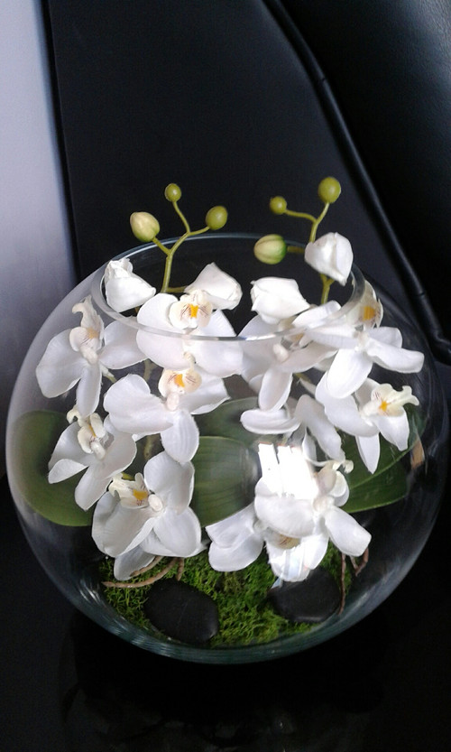 Orchideje Ve Skle (orchidejí skle, pěstování orchidejí, pěstování orchidejí skle, Skleněné Nádoby) Orchideje Ve Skle