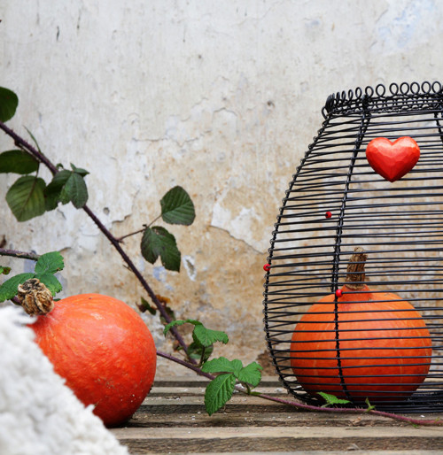 Srdcovka... drátovaný košík — foto 1