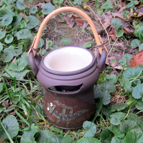 Aromka ještěrka — foto 1