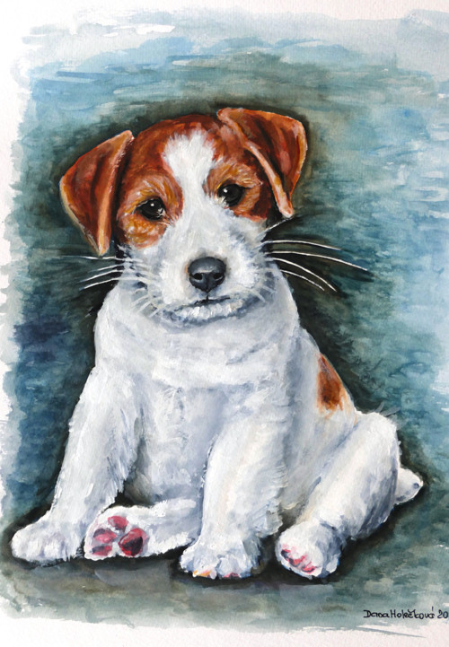 Jackrussell Kuki - autorský arch