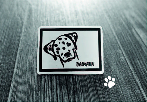Magnetka DALMATIN