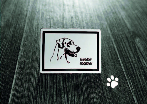 Magnetka RHODÉSKÝ RIDGEBACK