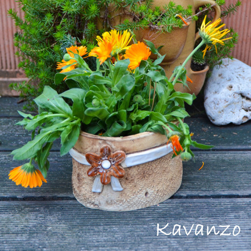 Květináček — foto 1