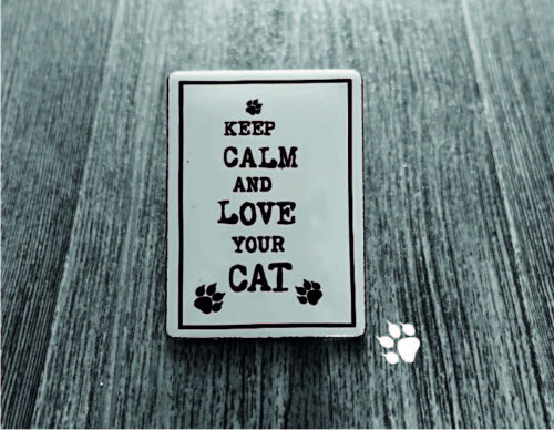 Magnetka Keep Calm And Love Your Cat