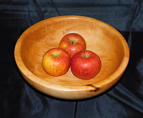 Střední - olše — foto 1