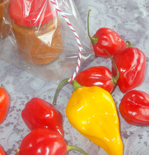 Chilli pasta, extrémně pálivá — foto 1