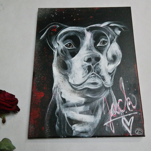 Jack ... OBRAZ NA PŘÁNÍ — foto 1
